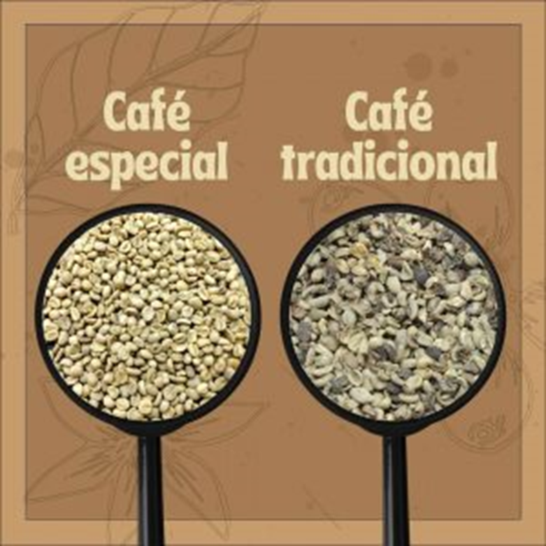 Cafeeira Quinta São José e as inovações em 2021 4 image 2